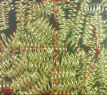 Продукт с пружинным покрытием ROHS Отчет об испытаниях штифтов Pogo